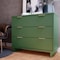 Manhattan Comfort Granville 38.18 Standard Dresser in Sage Green DR-5013 - alternate 7